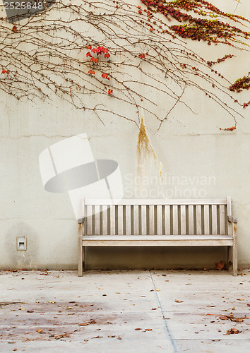 Image of Relaxation with bench in garden