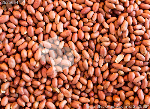 Image of Group of peanut kernels