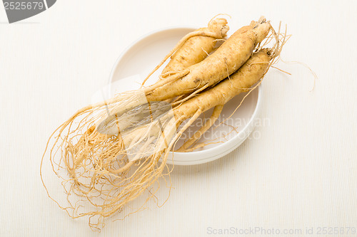 Image of Korean fresh Ginseng