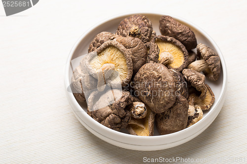 Image of Dried mushroom