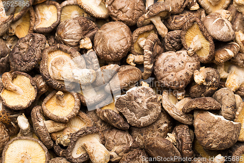 Image of Dried shiitake