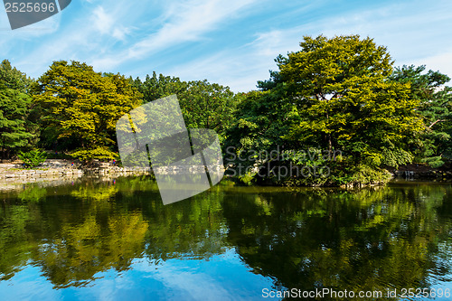 Image of Beautiful lake 