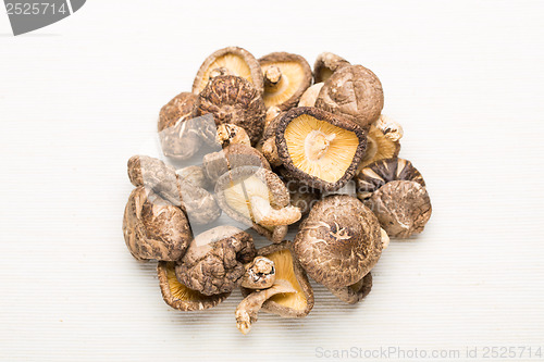 Image of Dried mushroom isolated on white