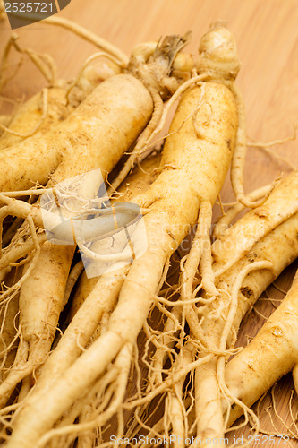 Image of Fresh Ginseng close up