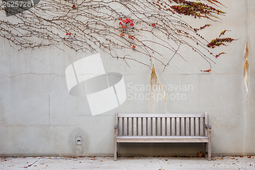 Image of Relaxation with bench in garden