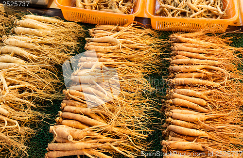 Image of Fresh ginseng stick for sell