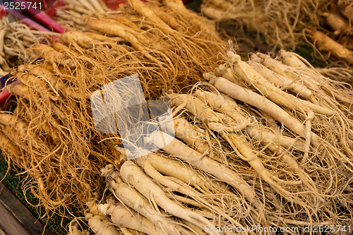 Image of Fresh ginseng in food market