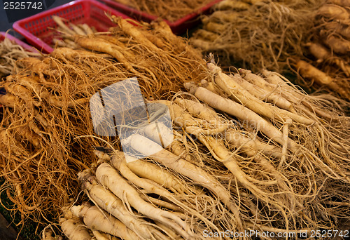 Image of Fresh ginseng for sell