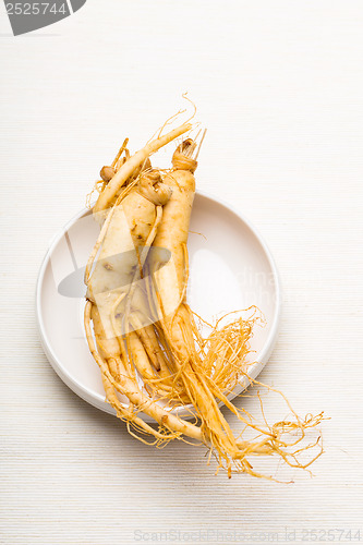 Image of Fresh ginseng on the white bowl