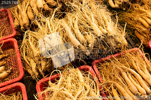 Image of Fresh ginseng for sell in Korean food market