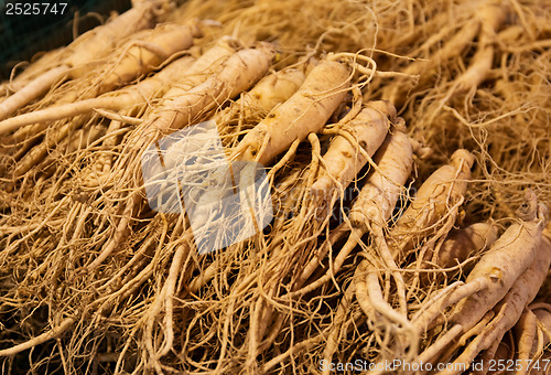 Image of Stack of fresh ginseng