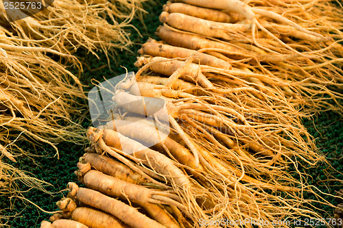 Image of Fresh ginseng in Korean market