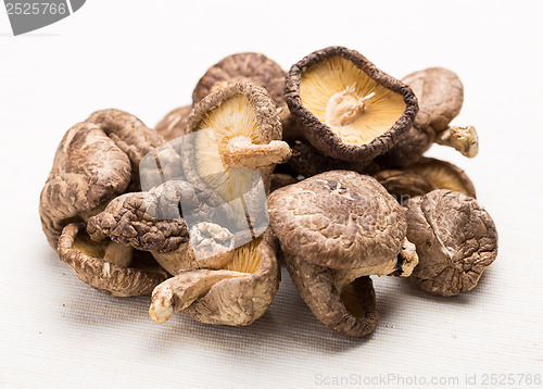 Image of Heap of the dried mushroom