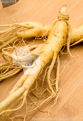 Image of Fresh Ginseng on the wooden background