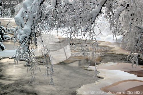 Image of Winter landscape