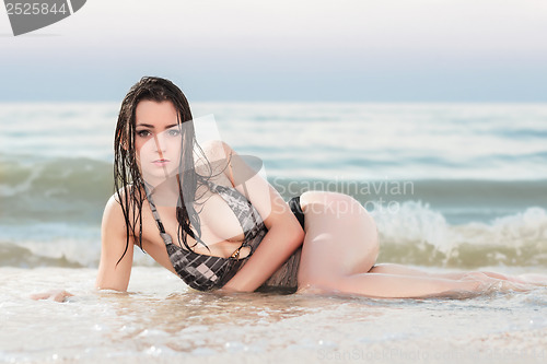 Image of Sexy young brunette