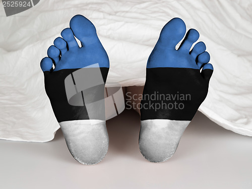 Image of Feet with flag