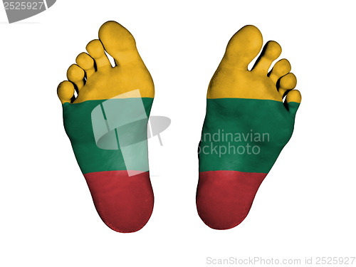 Image of Feet with flag