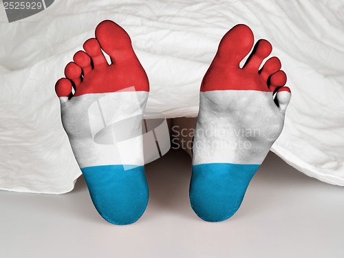 Image of Feet with flag