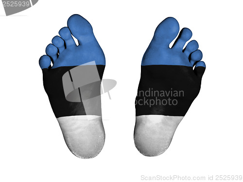 Image of Feet with flag