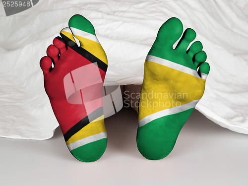 Image of Feet with flag