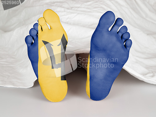 Image of Feet with flag
