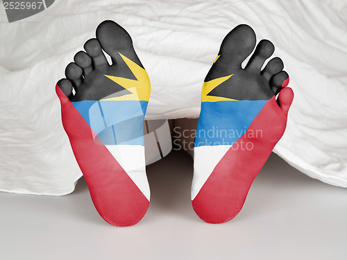 Image of Feet with flag