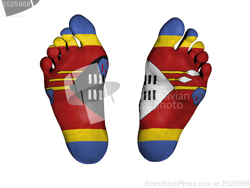 Image of Feet with flag
