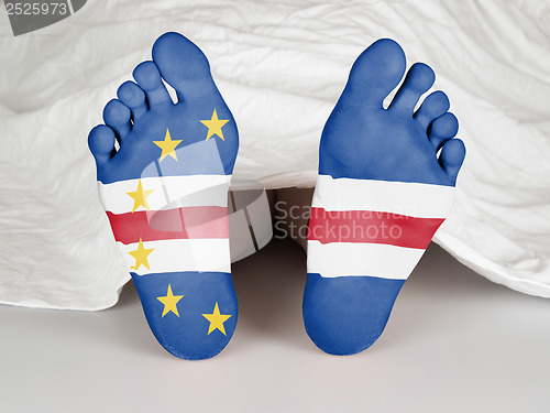 Image of Feet with flag