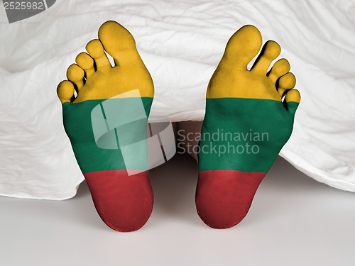 Image of Feet with flag