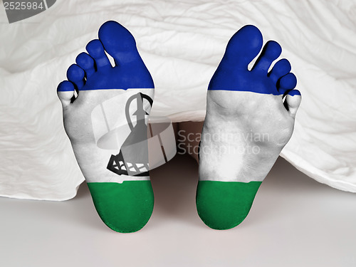 Image of Feet with flag