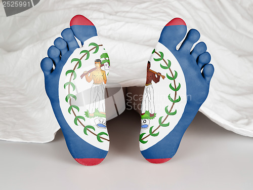 Image of Feet with flag