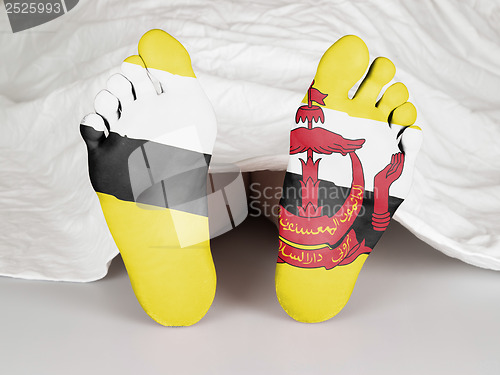 Image of Feet with flag