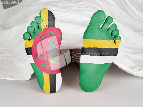 Image of Feet with flag