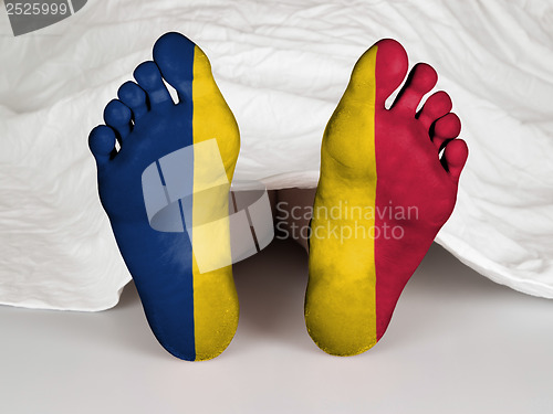 Image of Feet with flag