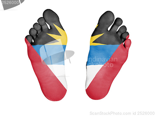 Image of Feet with flag