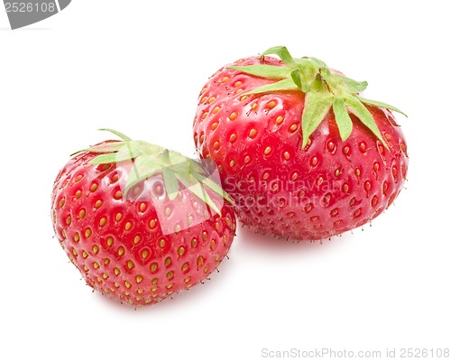 Image of Strawberry