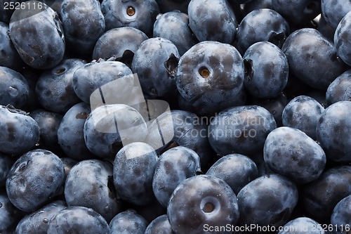 Image of Blueberries