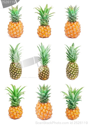 Image of Pineapple