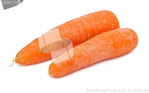 Image of Carrot