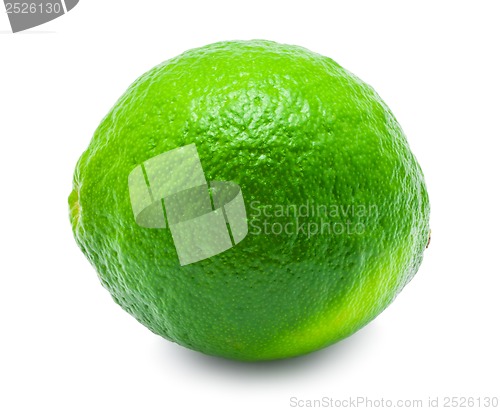 Image of Lime