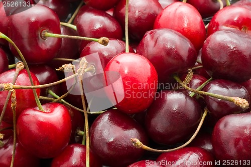 Image of Red cherry