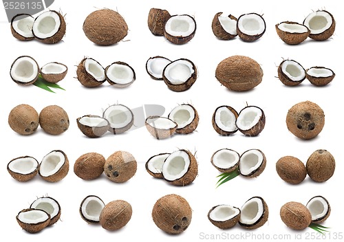 Image of Coconuts