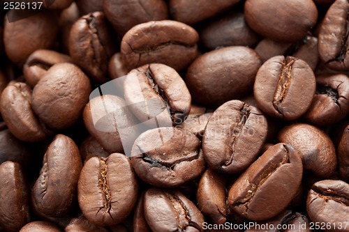 Image of Coffee beans