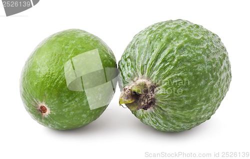 Image of Feijoa fruit