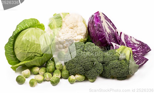 Image of Various types of cabbage