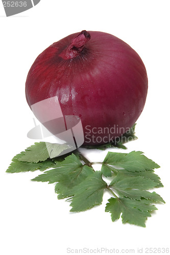 Image of Red onion and celery