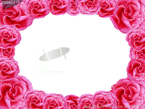 Image of rose card