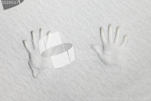 Image of Snowy handprint