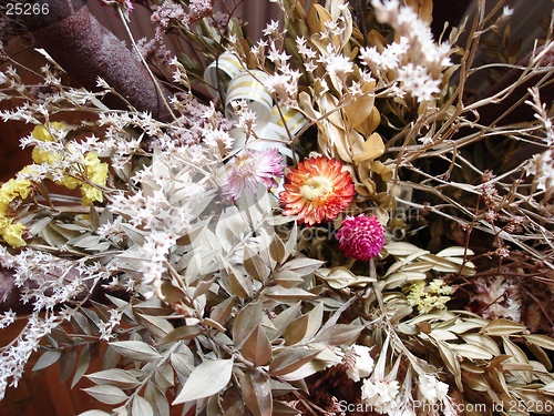 Image of Flowers
